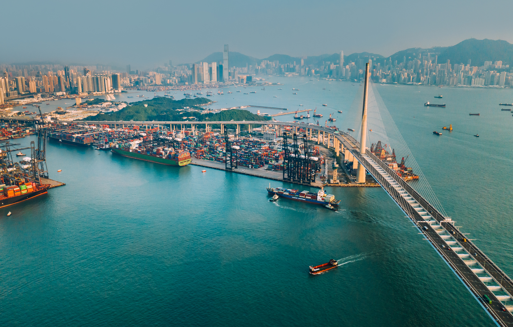 Joint ICC-ITC Policy Brief Series - ICC - International Chamber of Commerce - Vimarsana News