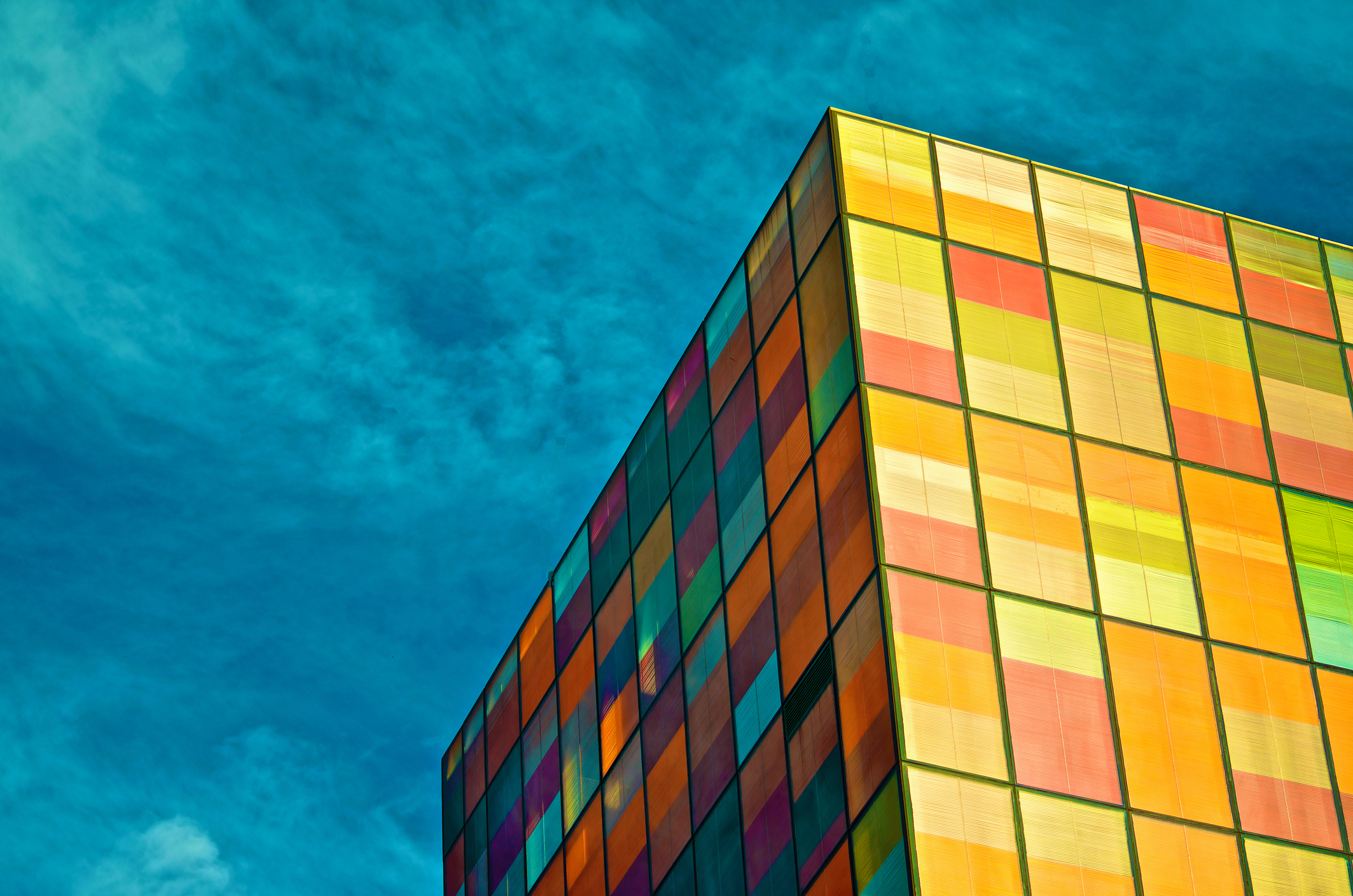 When digital tools become more expensive, the online growth of MSMEs is at risk